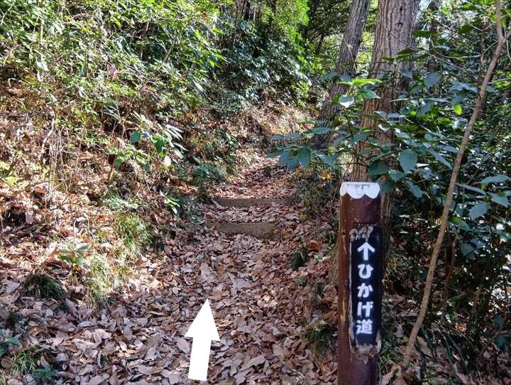 小川げんきプラザ駐車場～浅間山～西金勝山～小川げんきプラザ