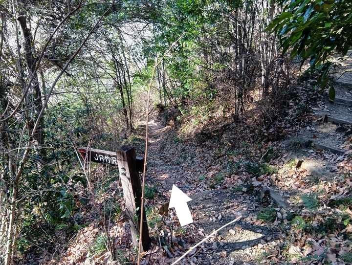 小川げんきプラザ～裏金勝山～金勝山～前金勝山～小川げんきプラザ