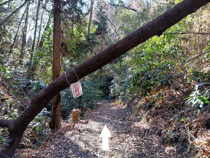 小川げんきプラザ～裏金勝山～金勝山～前金勝山～小川げんきプラザ