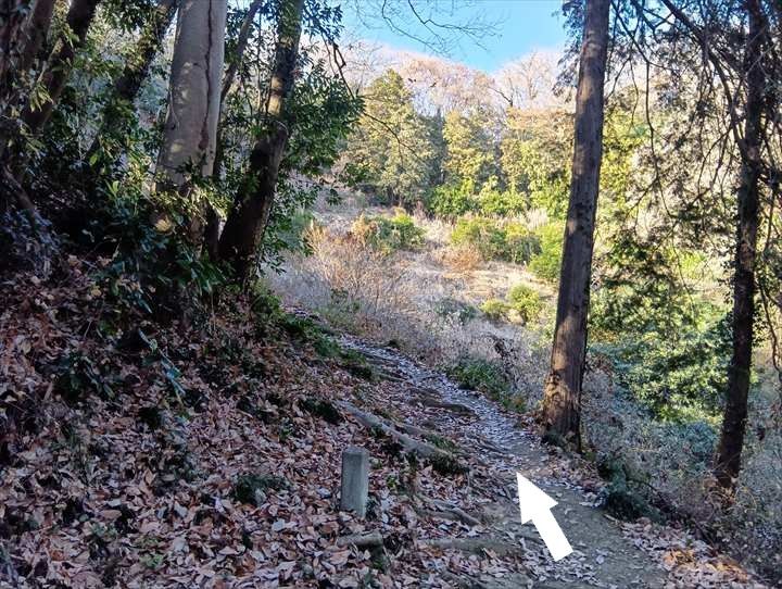 小川げんきプラザ～裏金勝山～金勝山～前金勝山～小川げんきプラザ