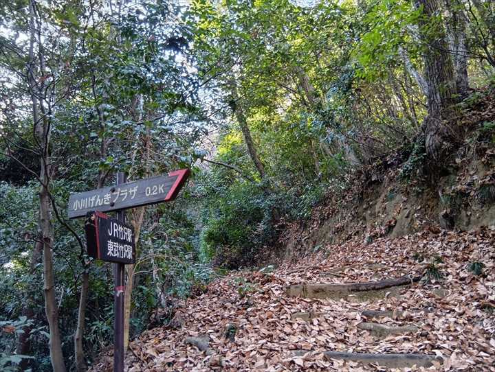 小川げんきプラザ～裏金勝山～金勝山～前金勝山～小川げんきプラザ