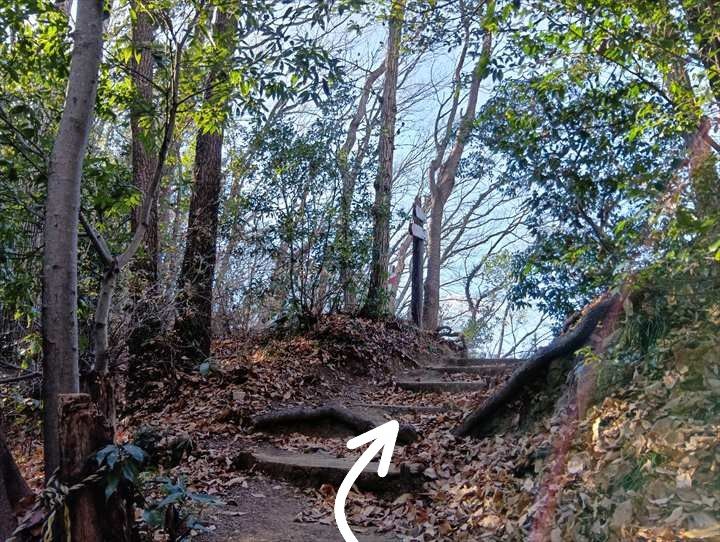 小川げんきプラザ～裏金勝山～金勝山～前金勝山～小川げんきプラザ