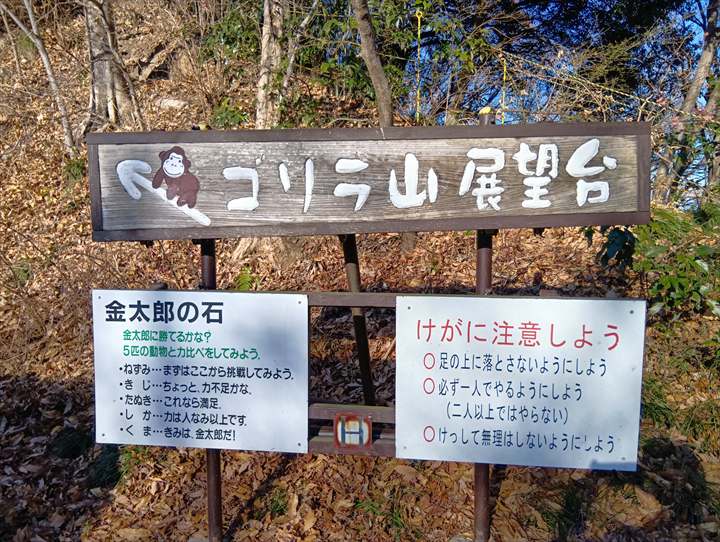 小川げんきプラザ～ゴリラ山～桜の峰～小川げんきプラザ駐車場