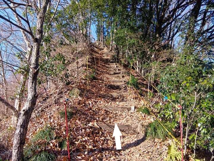 小川げんきプラザ～ゴリラ山～桜の峰～小川げんきプラザ駐車場