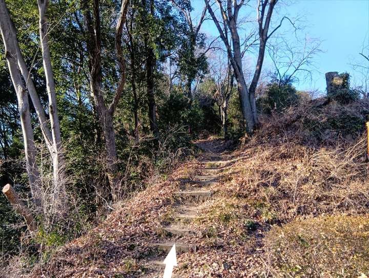 小川げんきプラザ～ゴリラ山～桜の峰～小川げんきプラザ駐車場