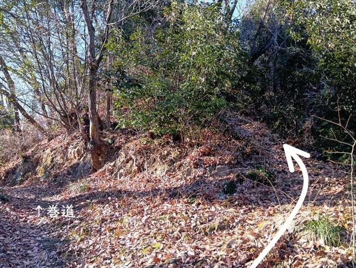 小川げんきプラザ～ゴリラ山～桜の峰～小川げんきプラザ駐車場