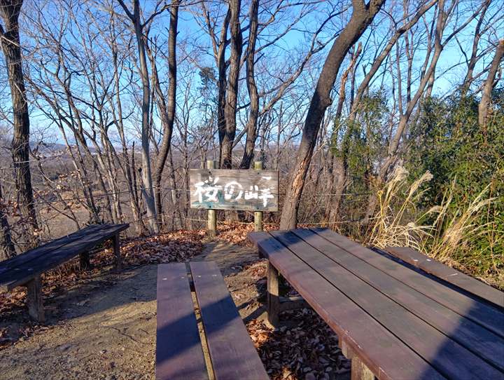 小川げんきプラザ～ゴリラ山～桜の峰～小川げんきプラザ駐車場