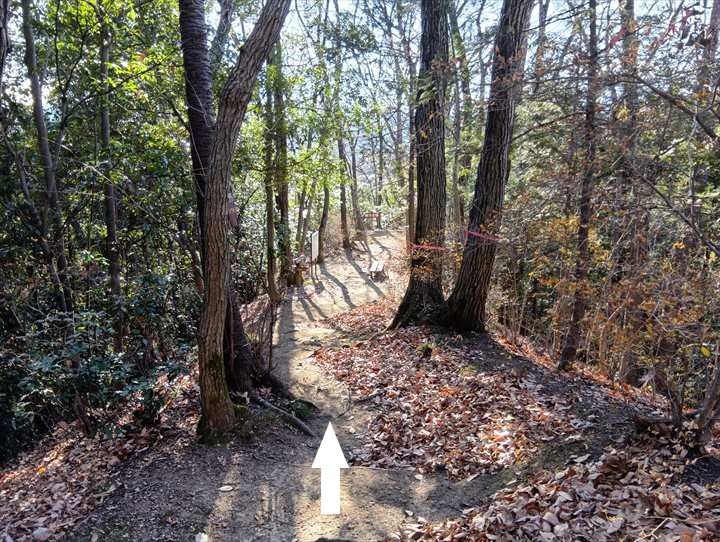 小川げんきプラザ～ゴリラ山～桜の峰～小川げんきプラザ駐車場