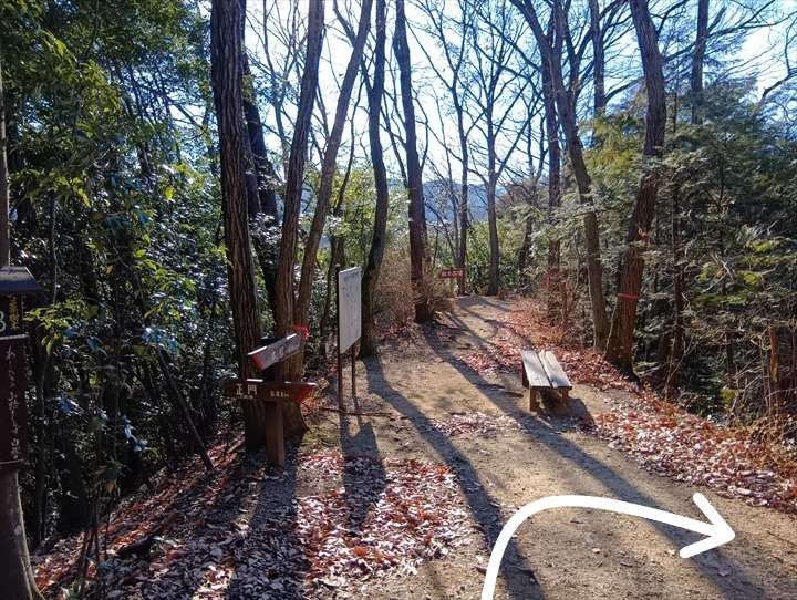 小川げんきプラザ～ゴリラ山～桜の峰～小川げんきプラザ駐車場