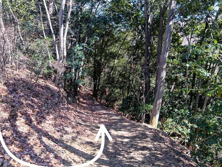 小川げんきプラザ駐車場～浅間山～西金勝山～小川げんきプラザ