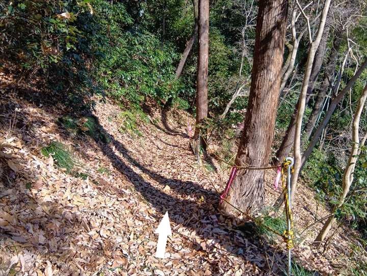 小川げんきプラザ駐車場～浅間山～西金勝山～小川げんきプラザ