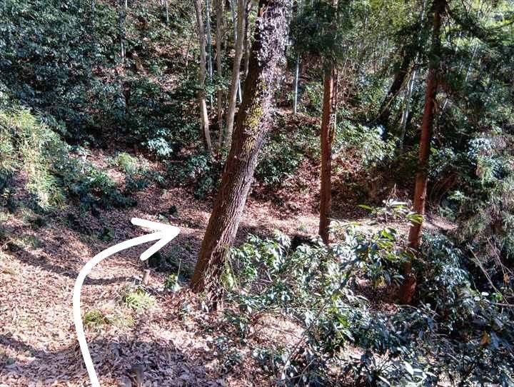 小川げんきプラザ駐車場～浅間山～西金勝山～小川げんきプラザ