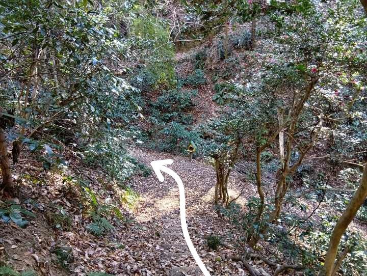 小川げんきプラザ駐車場～浅間山～西金勝山～小川げんきプラザ