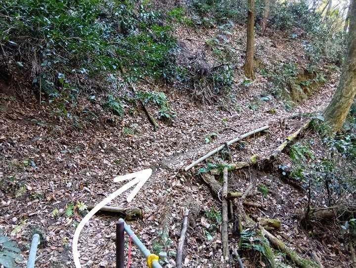 小川げんきプラザ駐車場～浅間山～西金勝山～小川げんきプラザ