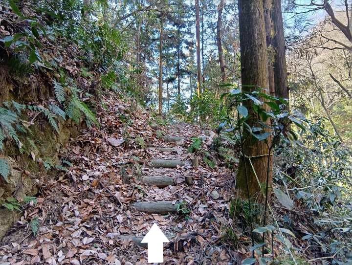 小川げんきプラザ駐車場～浅間山～西金勝山～小川げんきプラザ