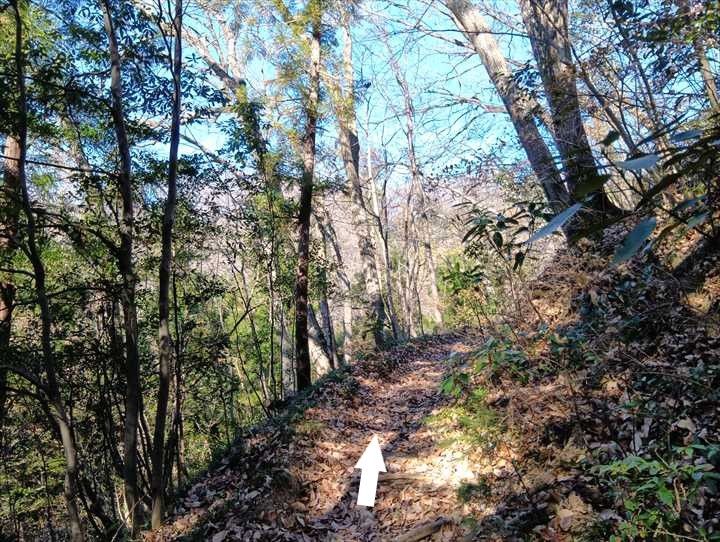 小川げんきプラザ駐車場～浅間山～西金勝山～小川げんきプラザ