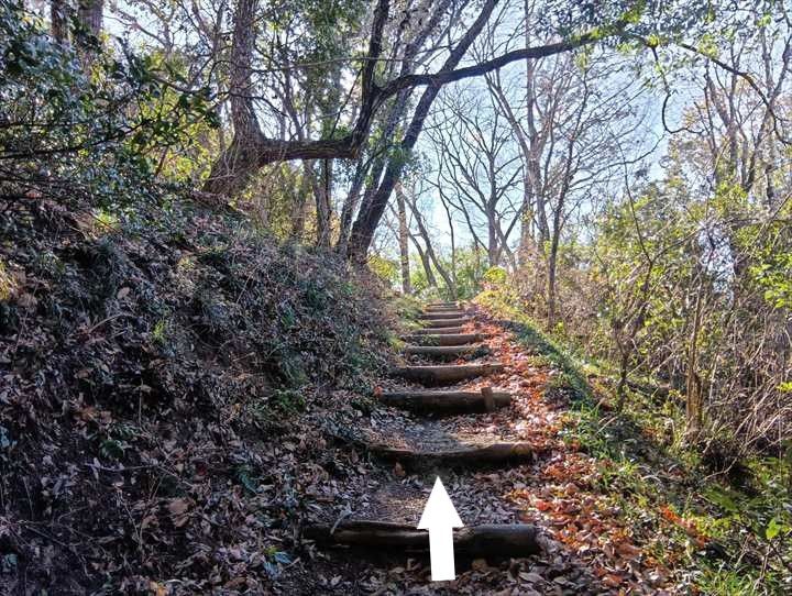 小川げんきプラザ駐車場～浅間山～西金勝山～小川げんきプラザ