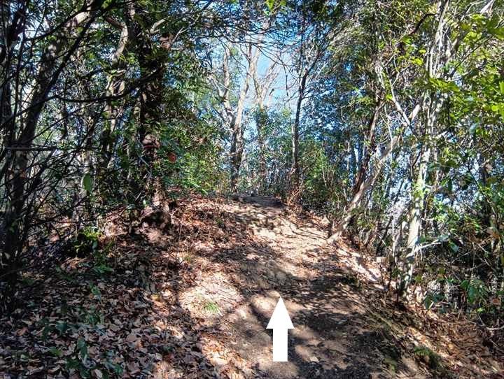 小川げんきプラザ駐車場～浅間山～西金勝山～小川げんきプラザ