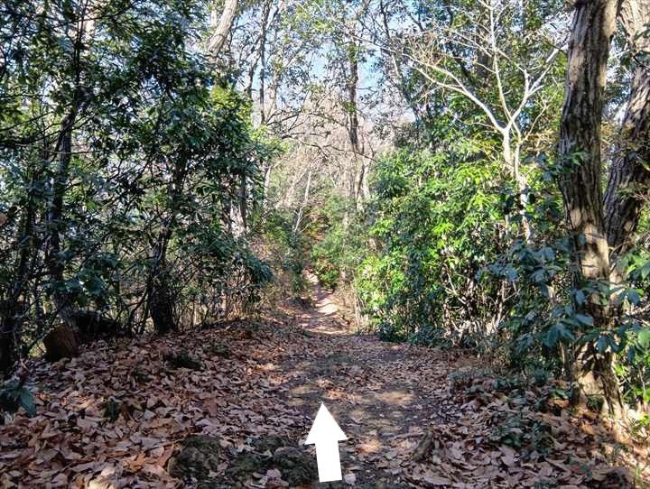 小川げんきプラザ駐車場～浅間山～西金勝山～小川げんきプラザ