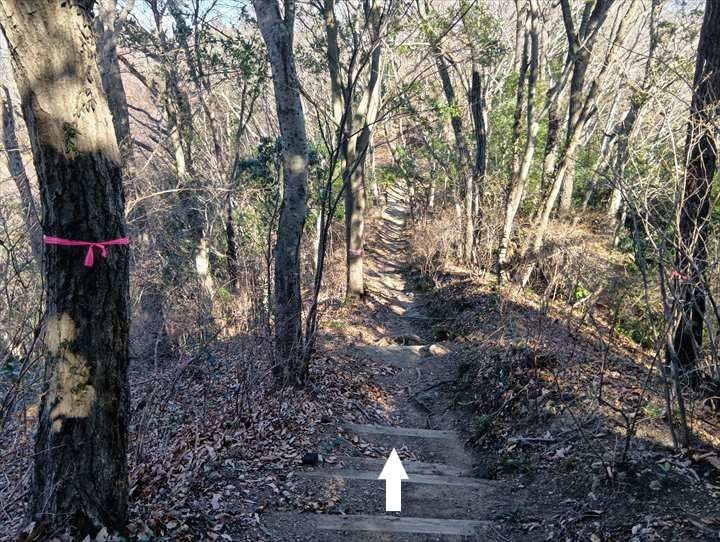 小川げんきプラザ駐車場～浅間山～西金勝山～小川げんきプラザ