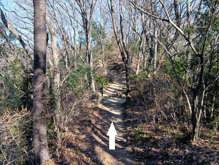 小川げんきプラザ駐車場～浅間山～西金勝山～小川げんきプラザ