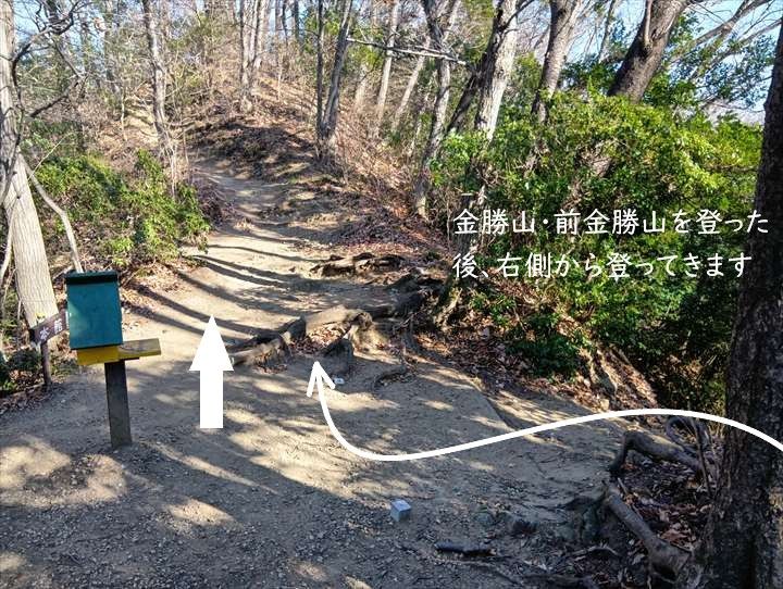 小川げんきプラザ駐車場～浅間山～西金勝山～小川げんきプラザ