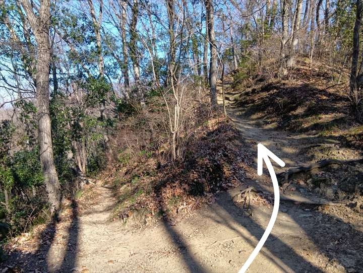 小川げんきプラザ駐車場～浅間山～西金勝山～小川げんきプラザ