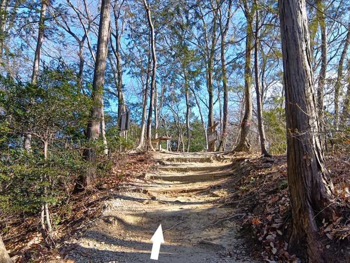 小川げんきプラザ～裏金勝山～金勝山～前金勝山～小川げんきプラザ