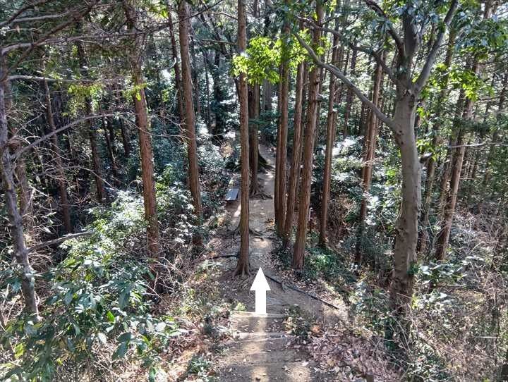 小川げんきプラザ～裏金勝山～金勝山～前金勝山～小川げんきプラザ