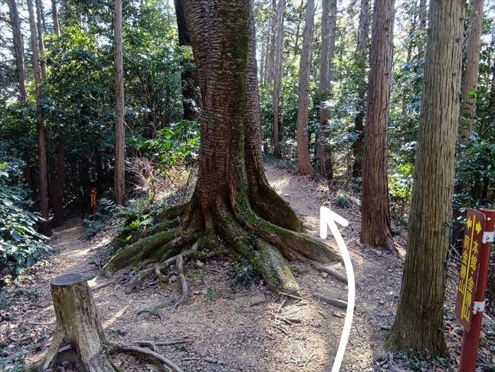 小川げんきプラザ～裏金勝山～金勝山～前金勝山～小川げんきプラザ