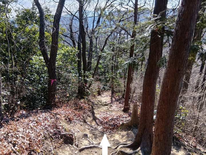 小川げんきプラザ～裏金勝山～金勝山～前金勝山～小川げんきプラザ