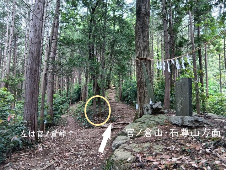 道の駅ひがしちちぶ～石尊山(分岐)
