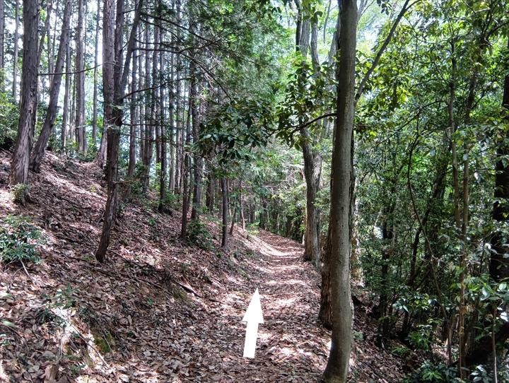 道の駅ひがしちちぶ～石尊山