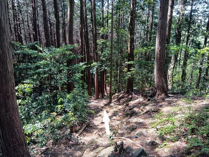 石尊山～臼入山(官ノ倉山～官ノ倉峠)