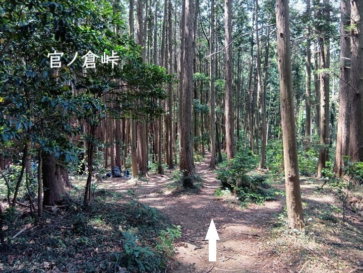 石尊山～臼入山(官ノ倉山～官ノ倉峠)