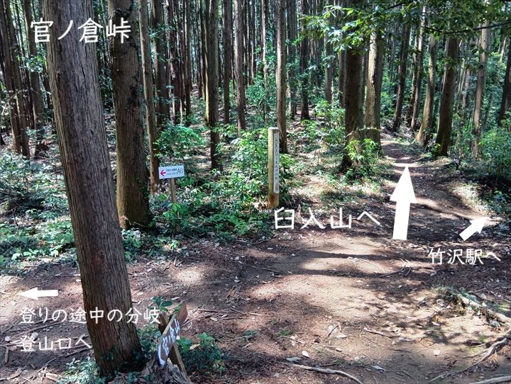 石尊山～臼入山(官ノ倉山～官ノ倉峠)