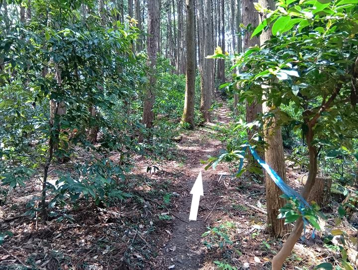 石尊山～臼入山(官ノ倉峠～不動沢の頭)