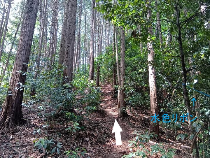 石尊山～臼入山(官ノ倉峠～不動沢の頭)