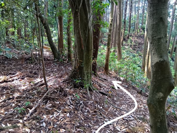 石尊山～臼入山(官ノ倉峠～不動沢の頭)