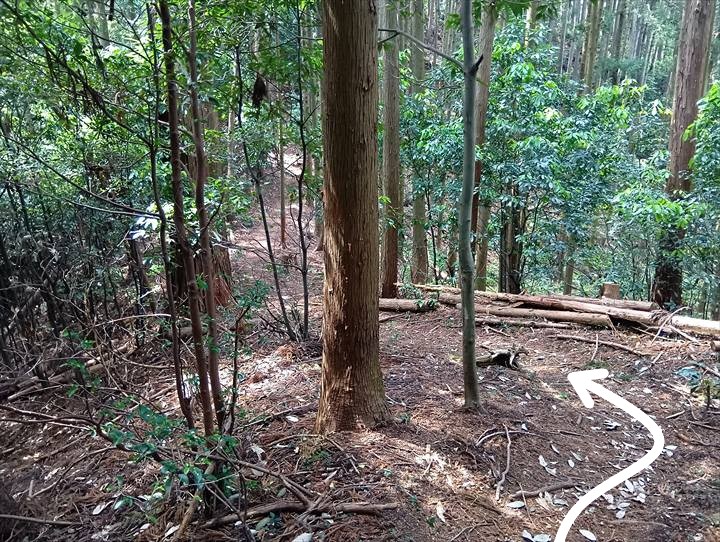 石尊山～臼入山(官ノ倉峠～不動沢の頭)