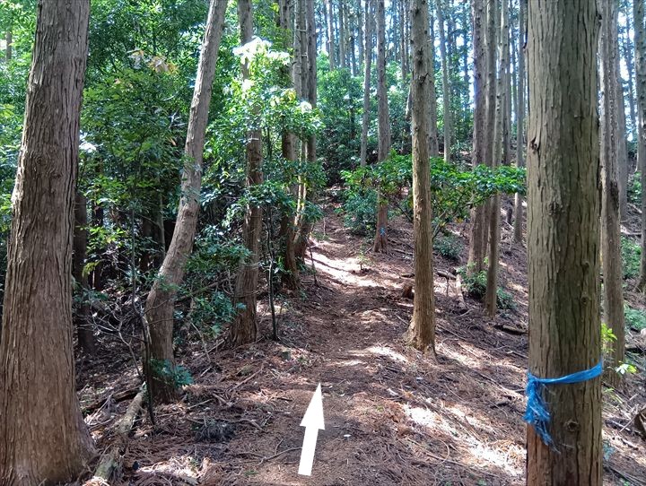 石尊山～臼入山(官ノ倉峠～不動沢の頭)