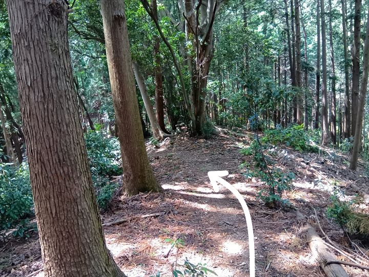 石尊山～臼入山(官ノ倉峠～不動沢の頭)