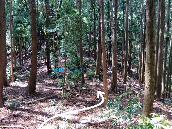 石尊山～臼入山(官ノ倉峠～不動沢の頭)