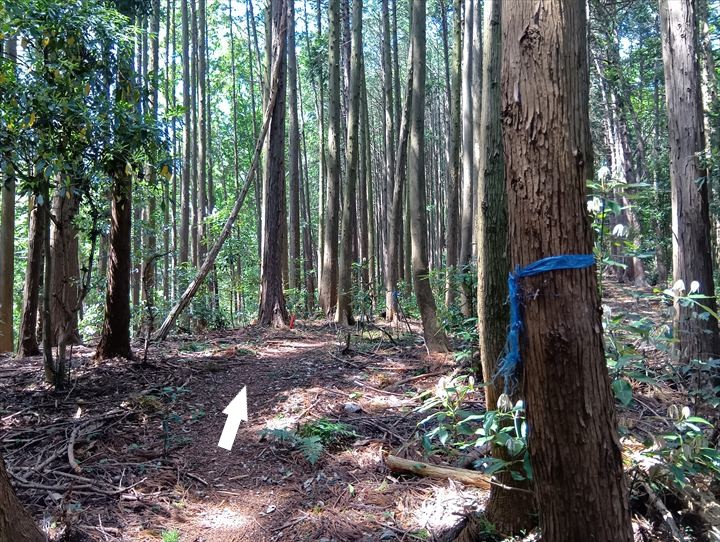 石尊山～臼入山(官ノ倉峠～不動沢の頭)