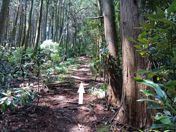 石尊山～臼入山(官ノ倉峠～不動沢の頭)