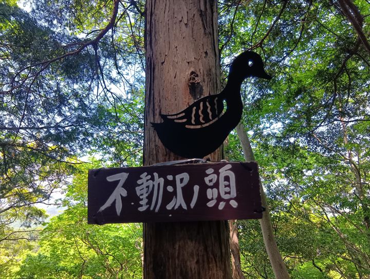 石尊山～臼入山(官ノ倉峠～不動沢の頭)