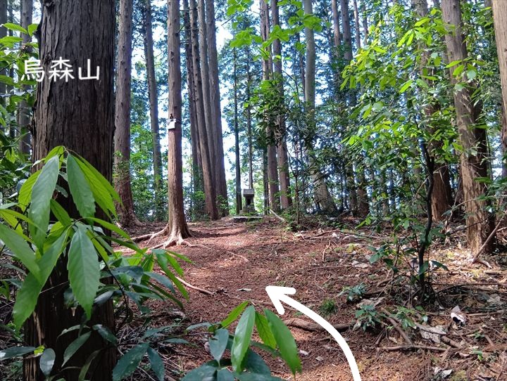 石尊山～臼入山(不動沢の頭～烏森山)