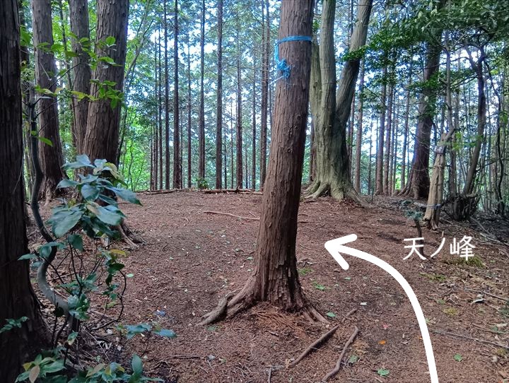 石尊山～臼入山(烏森山～天ノ峰)