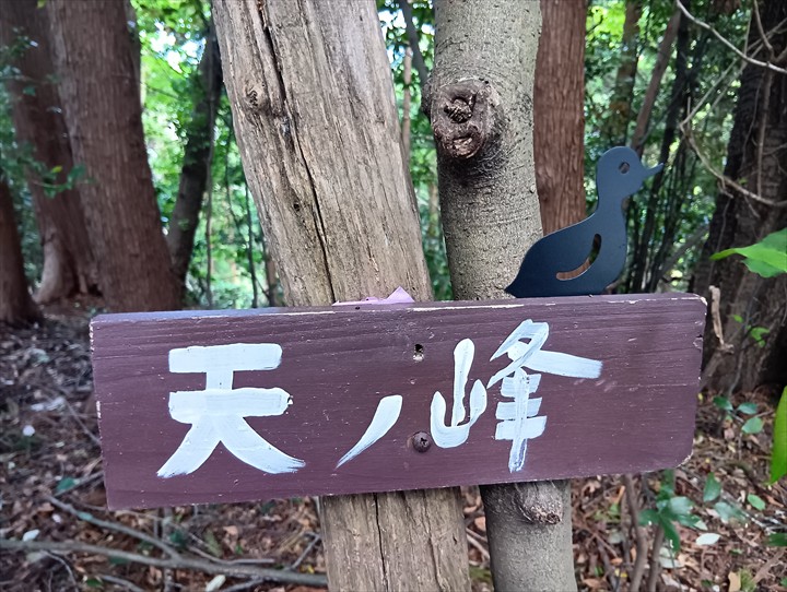 石尊山～臼入山(烏森山～天ノ峰)