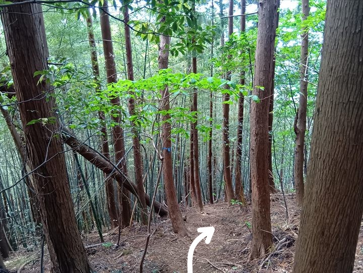 石尊山～臼入山(天ノ峰～臼入山)